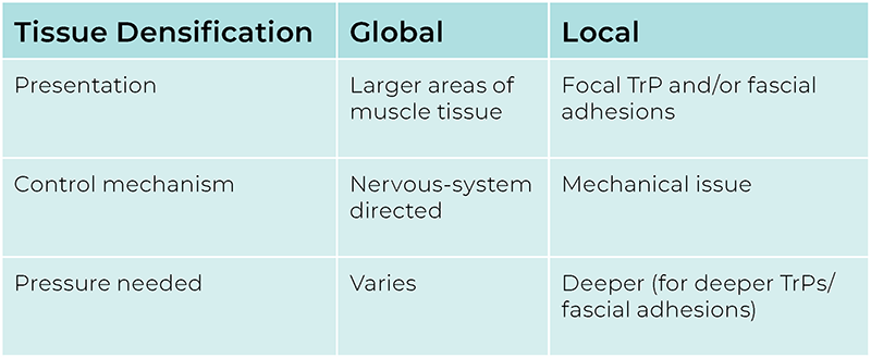 AUT_26_TissueTension_DensificationTable_800