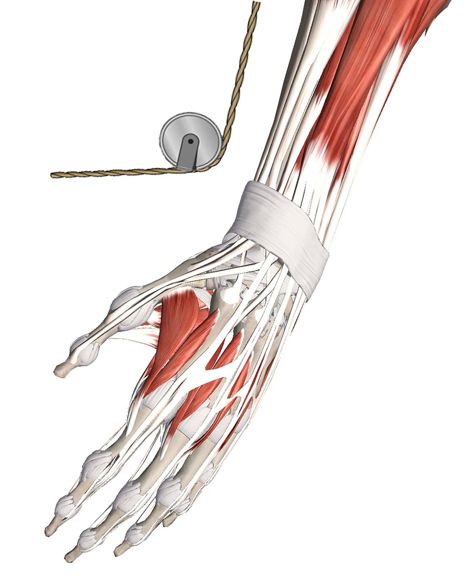 ND_14_ClinicalApps1_Main_1600