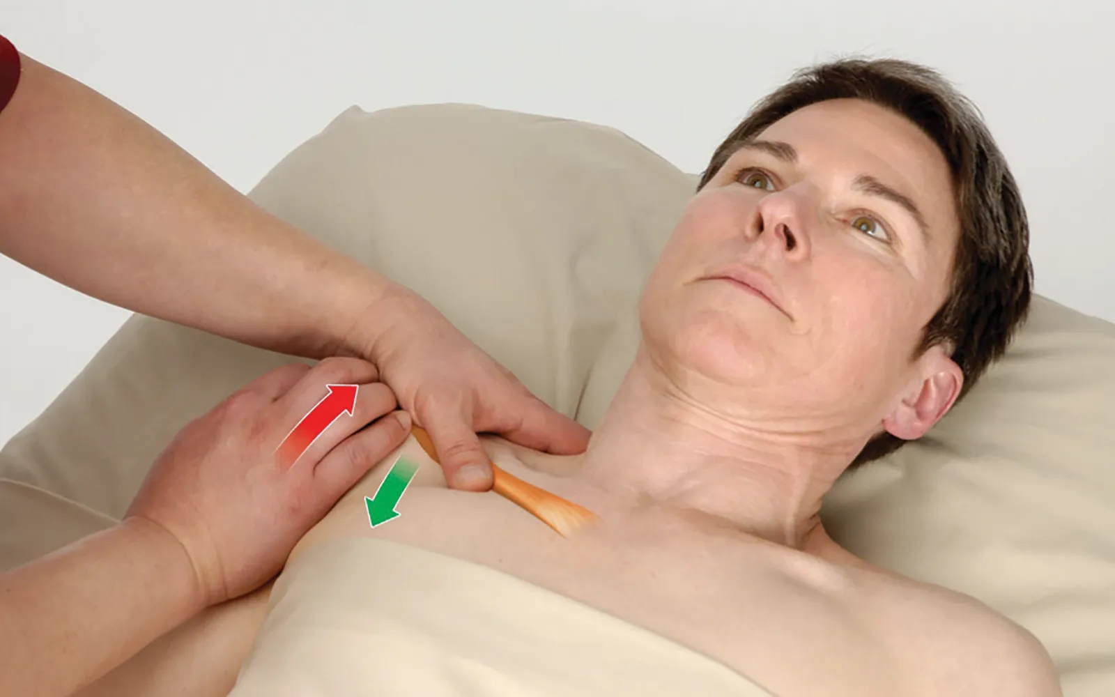 JA_15_FunctionalAnatomy_Secondary1_1600 JA_15_FunctionalAnatomy_Secondary1_1600