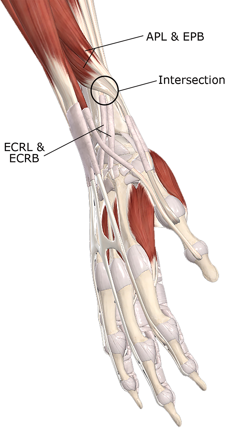 ClinicalExplorations3 ClinicalExplorations3