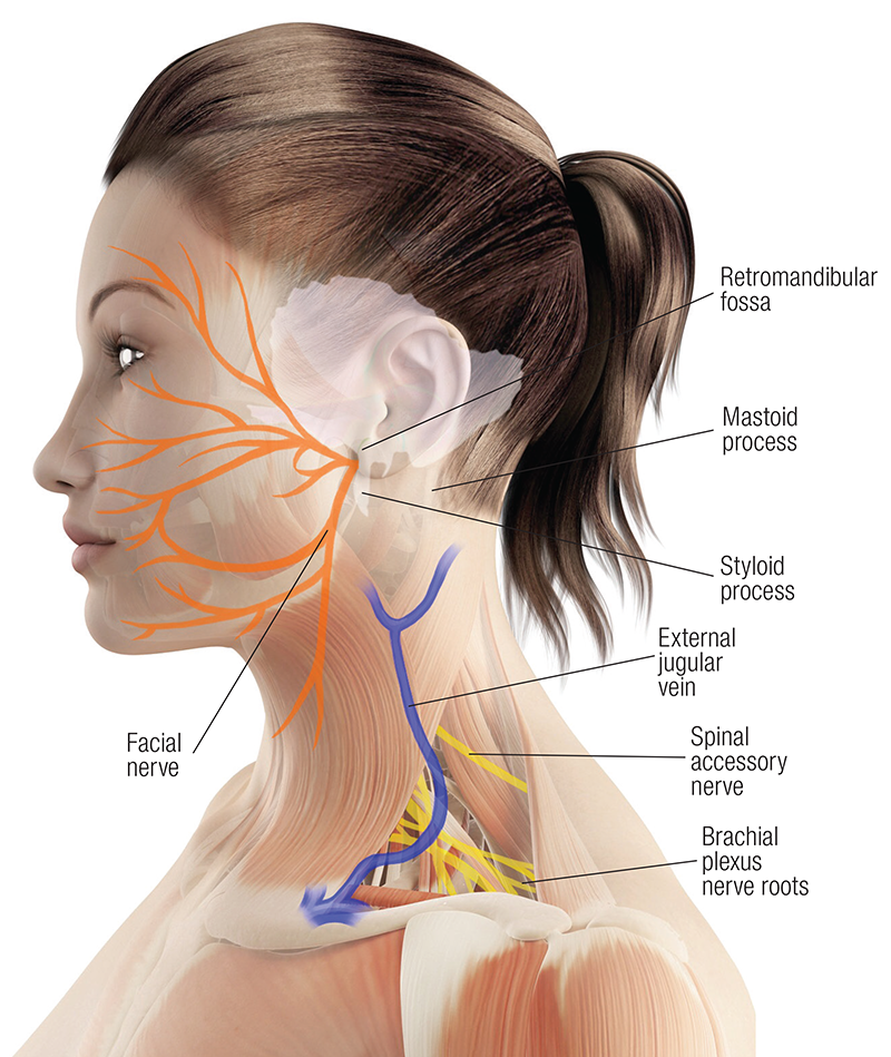MJ20_Endangerment Sites2