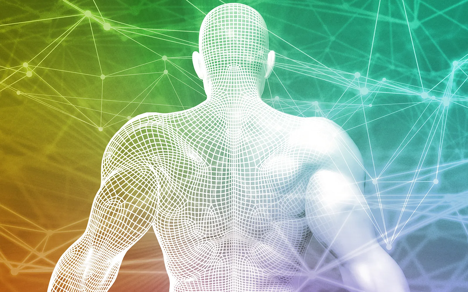 Kinesiology for the Massage Therapist Teaser Image Kinesiology for the Massage Therapist Teaser Image