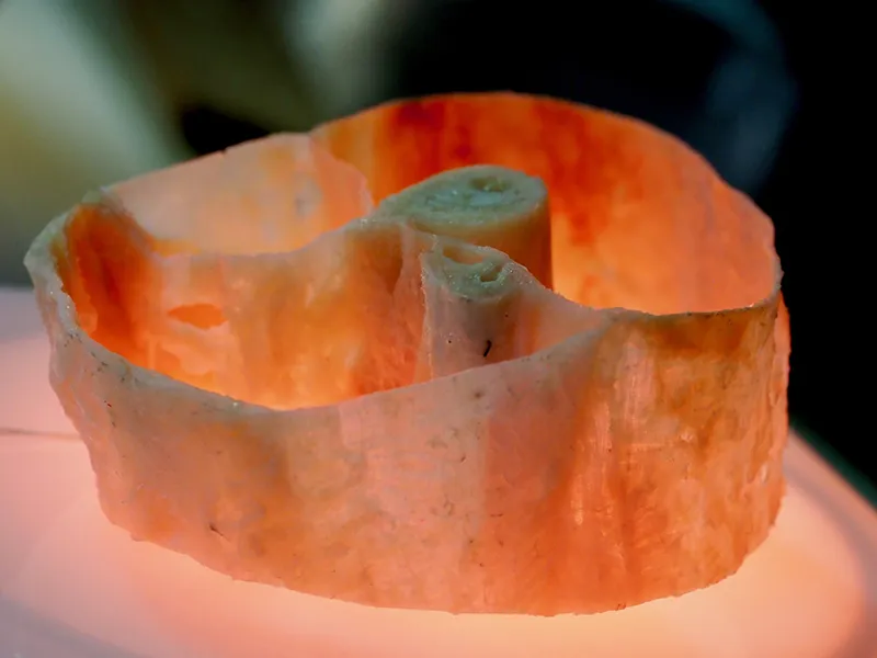 MJ_19_StructuralIntegration_PB120277_CrossSection_800 MJ_19_StructuralIntegration_PB120277_CrossSection_800