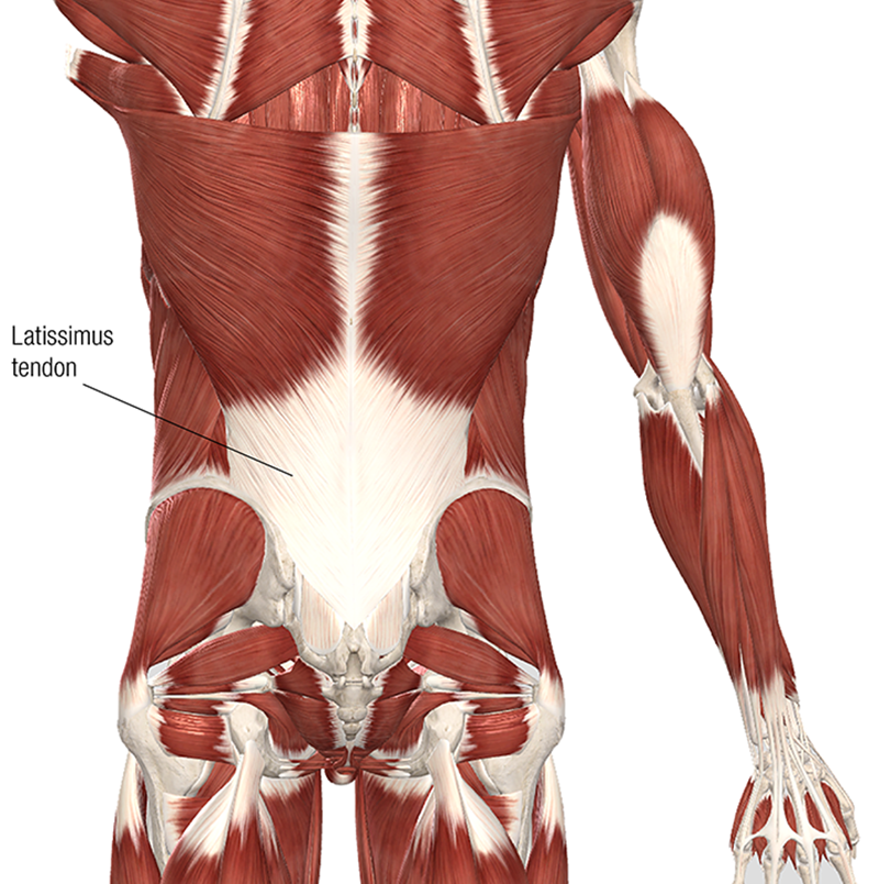 MA20_Clinical Explorations 1
