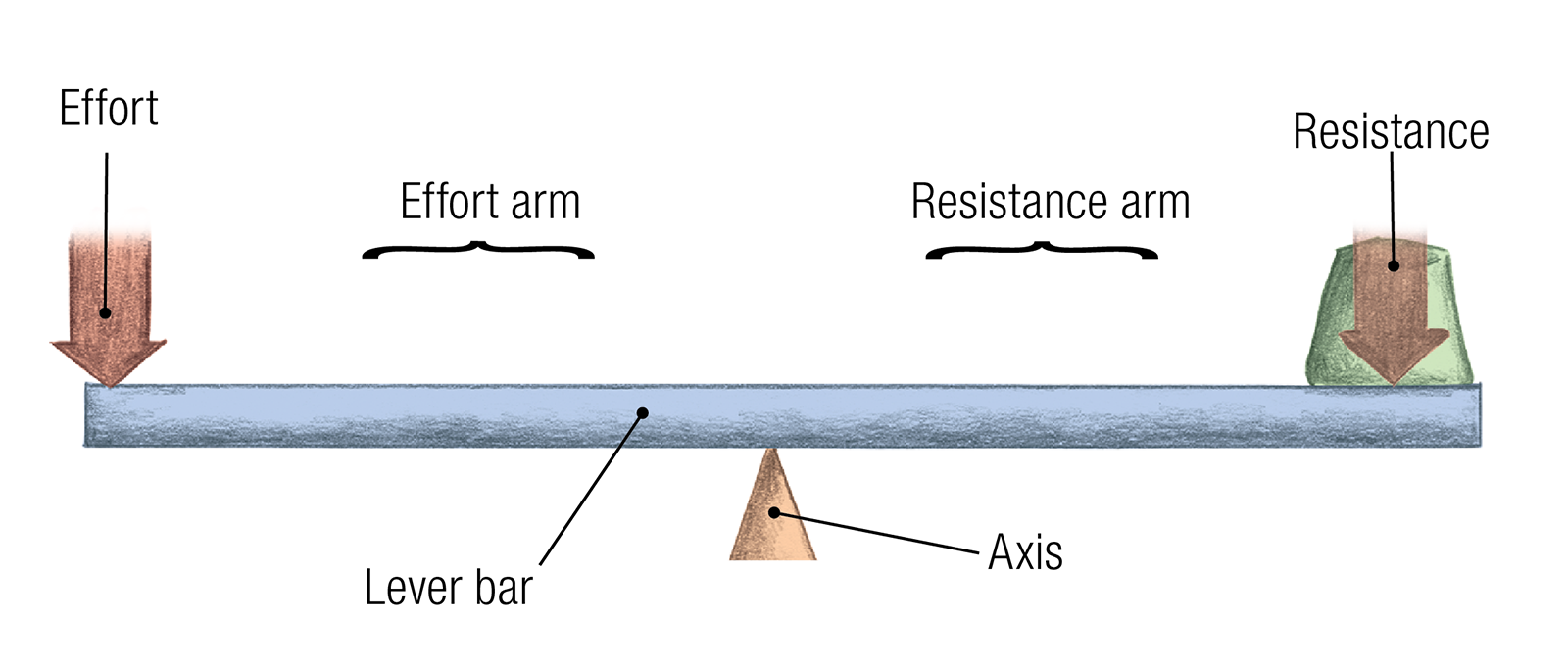 JF_15_Biomechanics14_LeverBar_1600