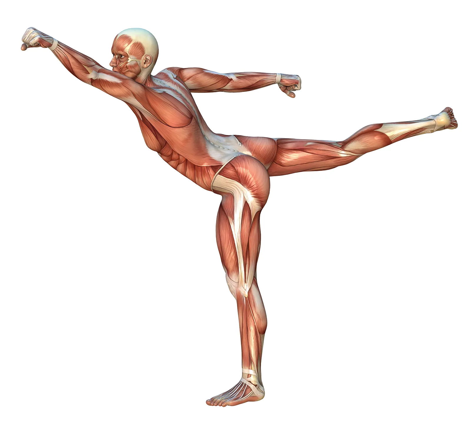 MJ_15_Fascia_Secondary1_shutterstock_1600 MJ_15_Fascia_Secondary1_shutterstock_1600