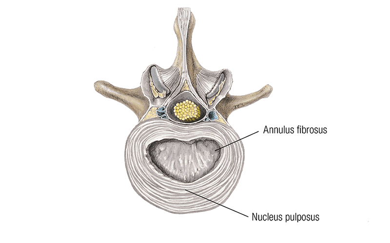 MJ_19_ClinicalExplorations1_800 MJ_19_ClinicalExplorations1_800