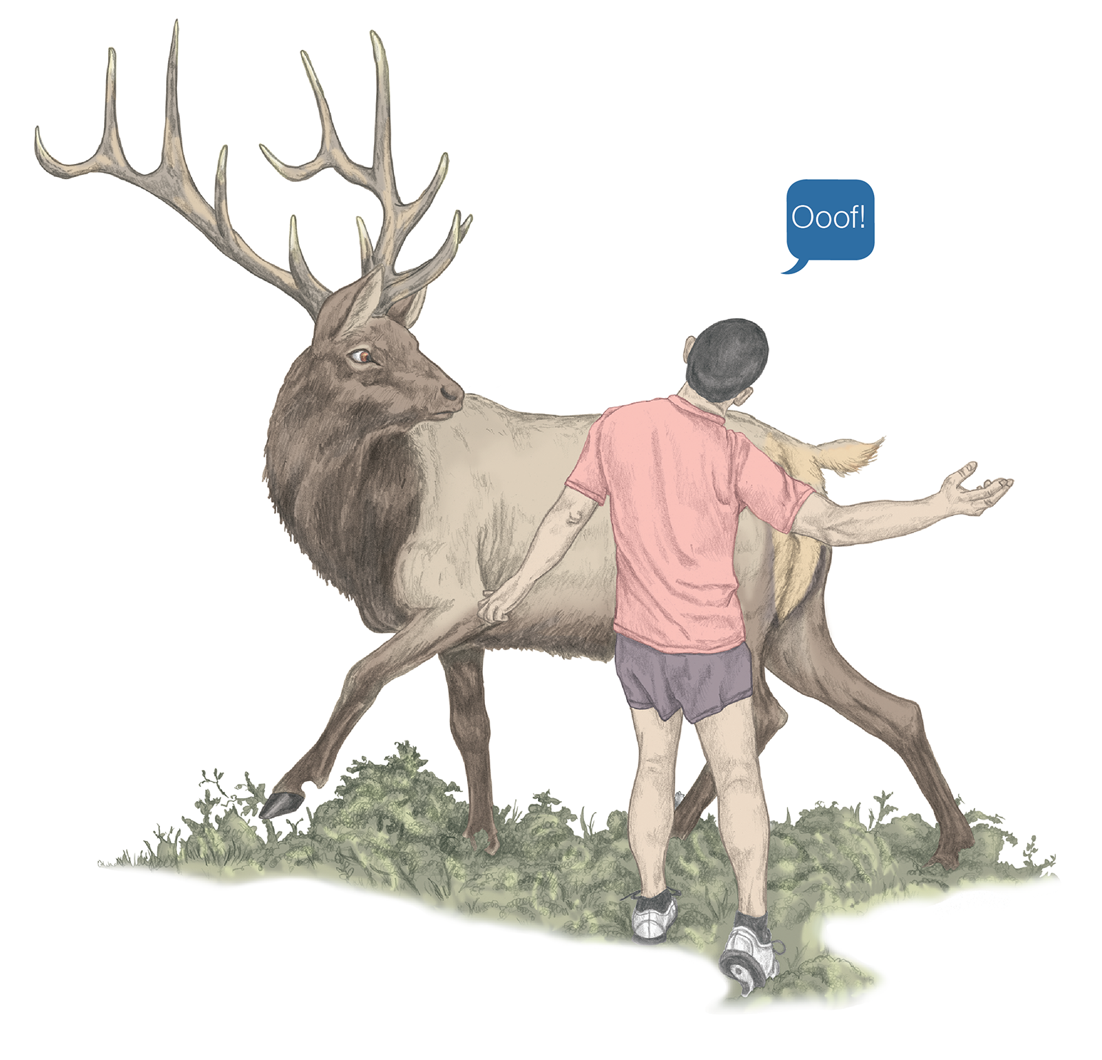 JF_15_Biomechanics1_Elk_1600