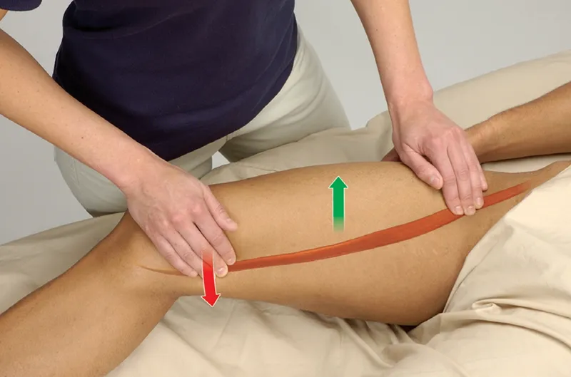 JA_22_FunctionalAnatomy2_800 JA_22_FunctionalAnatomy2_800