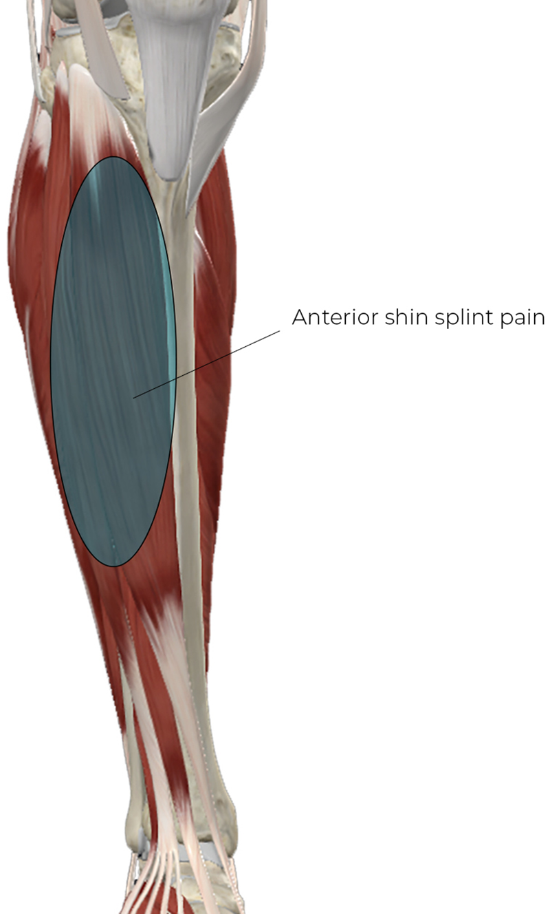 SP_26_ClinicalExplorations1_800