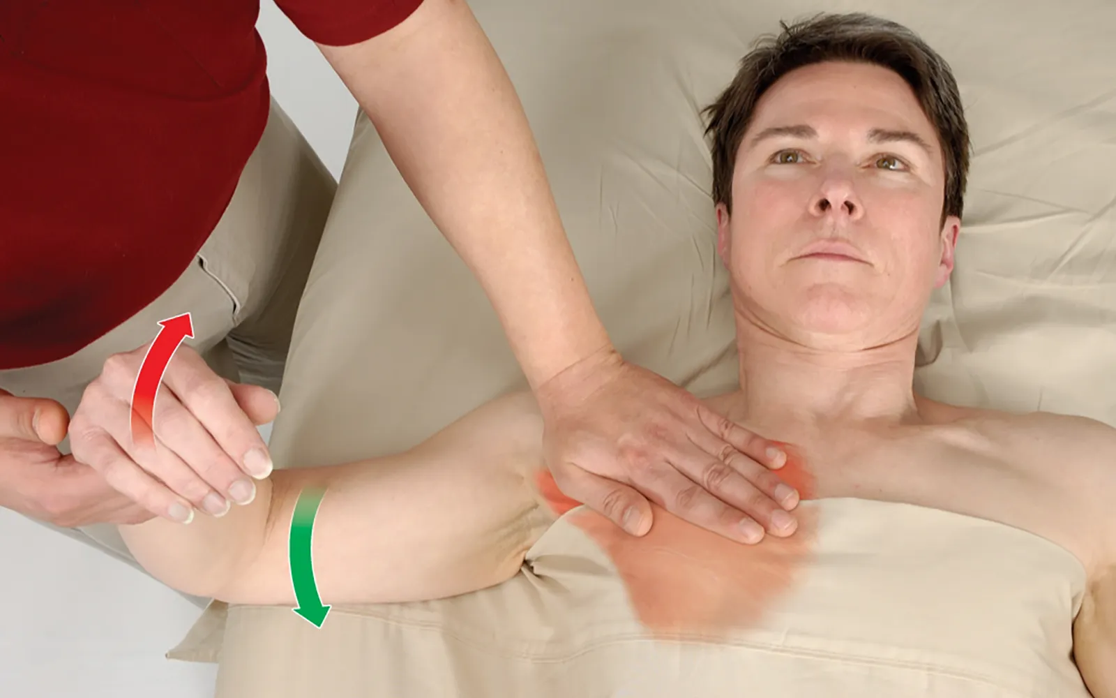 JF_15_FunctionalAnatomy_Secondary1_1600
