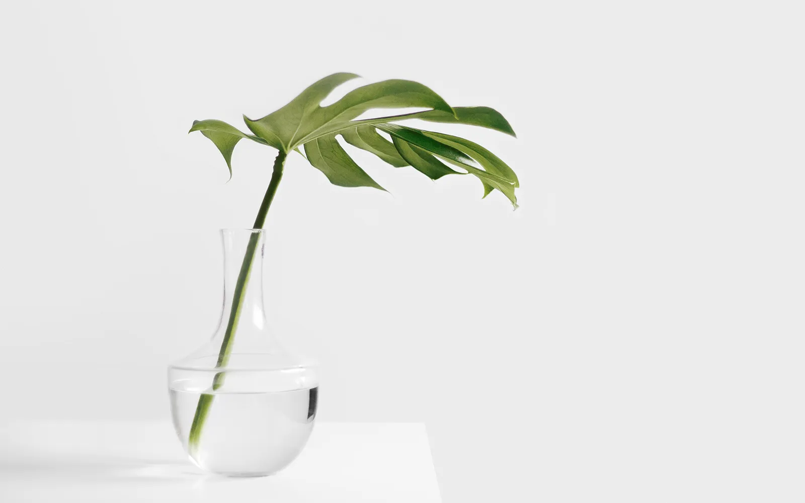 Set Wellness Goals Teaser Image