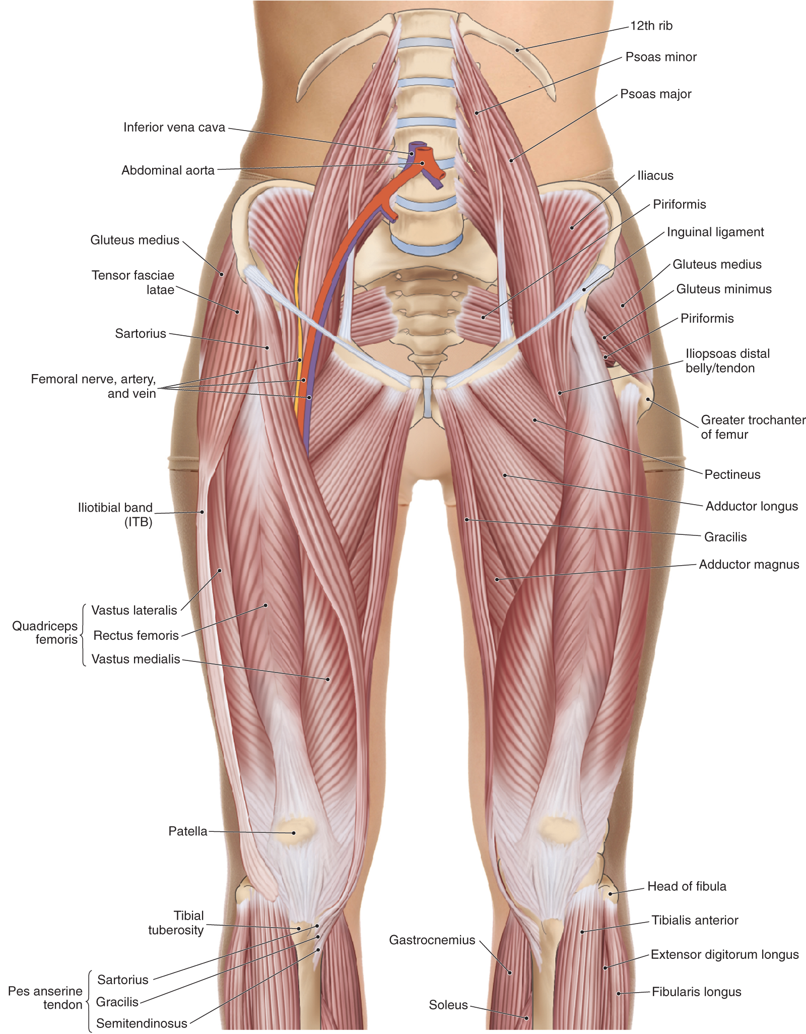 MA_16_IntegratingScience1_1600