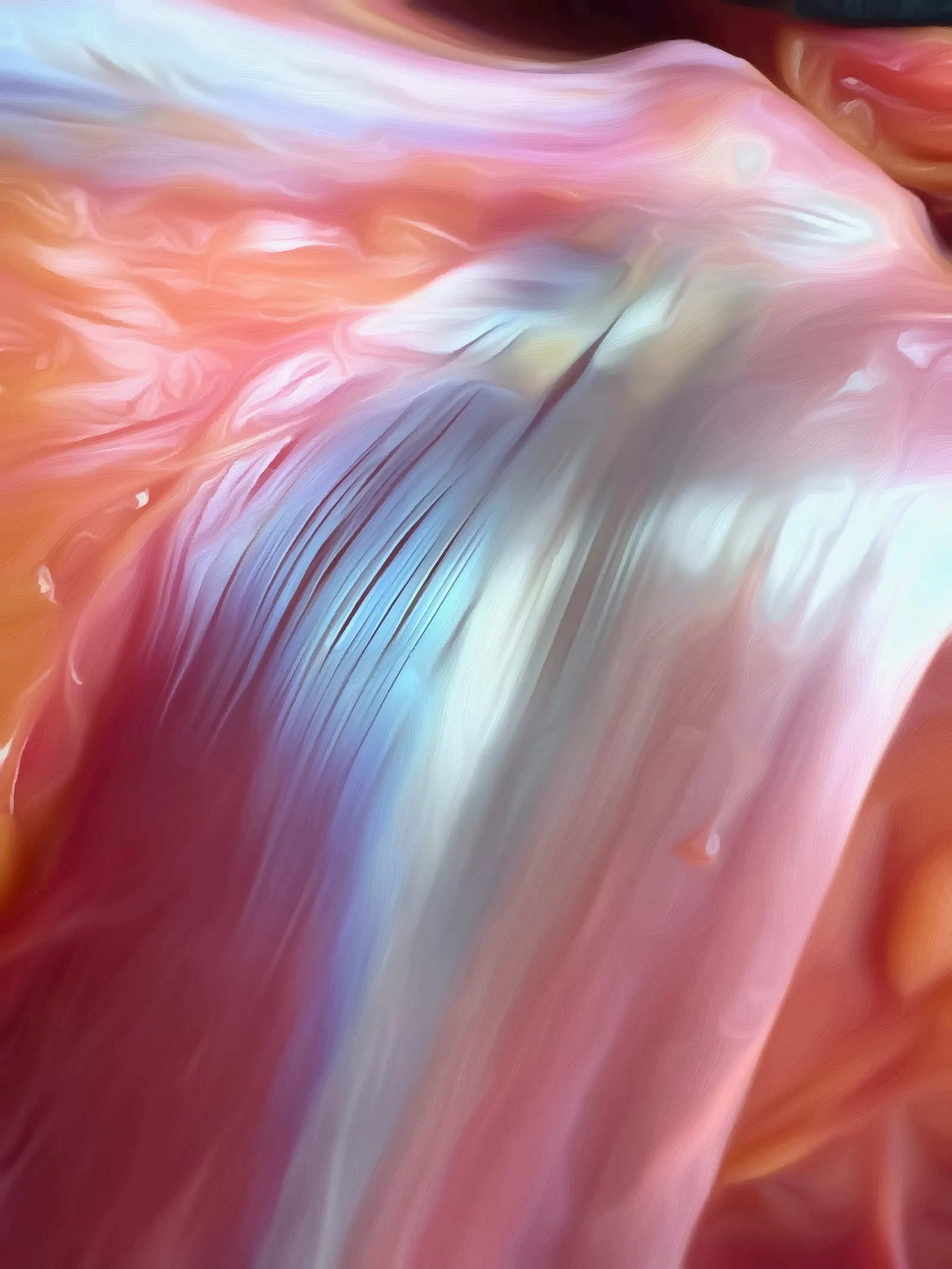 SP_26_AnatomyForTouch1_Main_AnatomySCAPES_ParallelCollagenFibers_1600