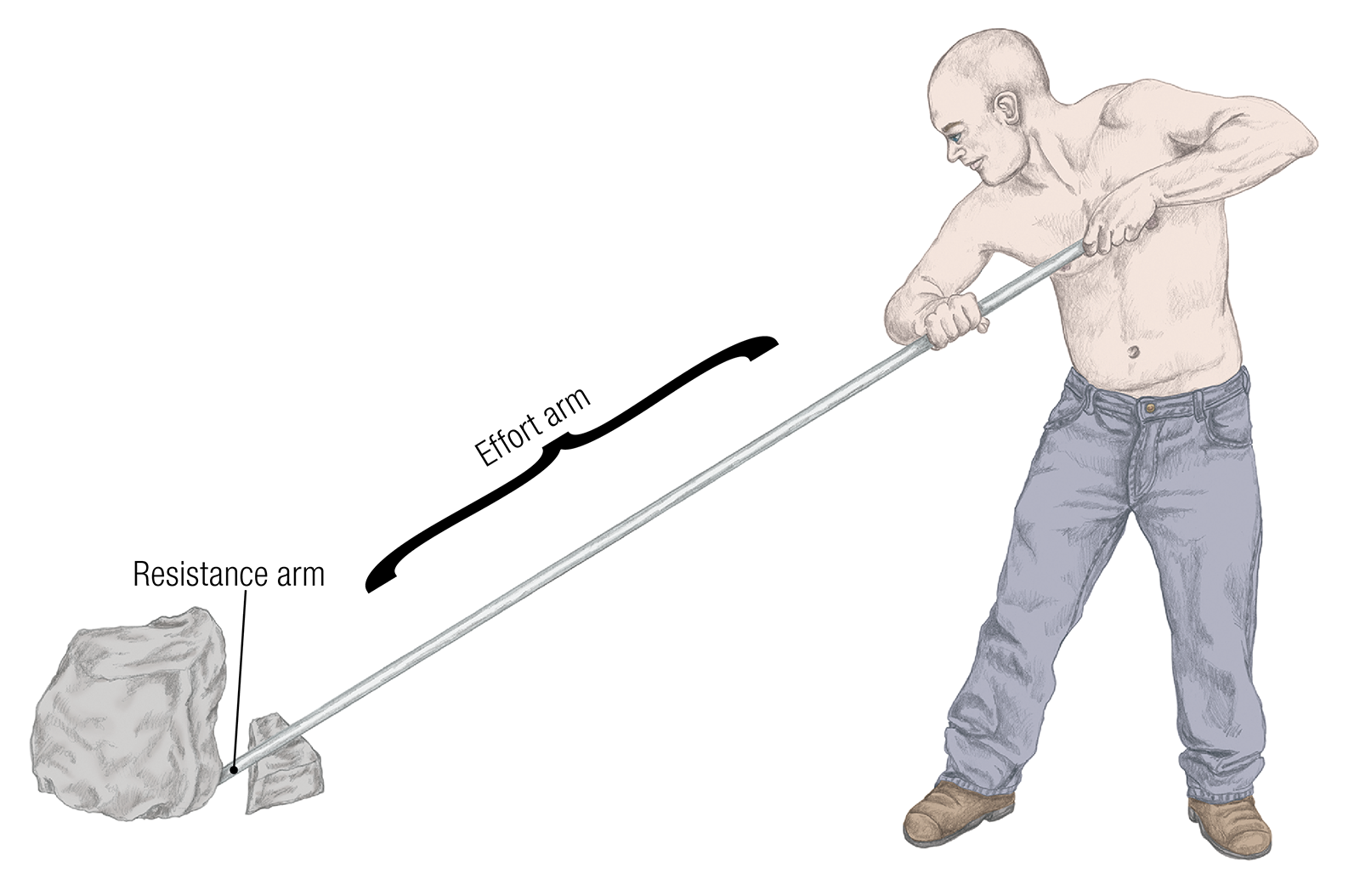 JF_15_Biomechanics17_LongRod_1600