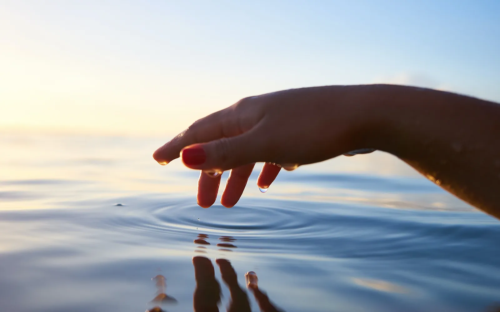 Where We Work is not Who We Are Teaser Image