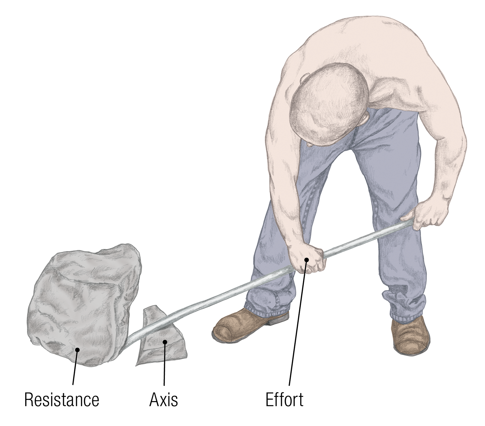 JF_15_Biomechanics15_Curly_1600