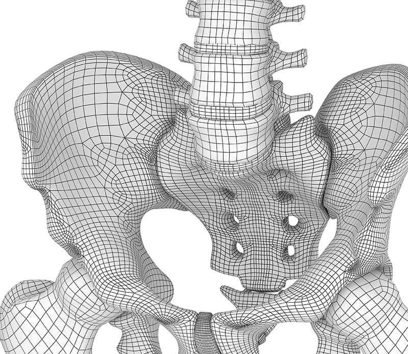 JF20_Somatic2 JF20_Somatic2