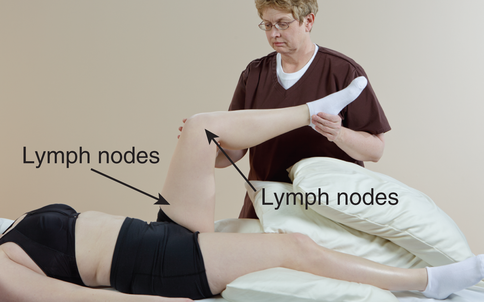 JF16_Lymph5 JF16_Lymph5