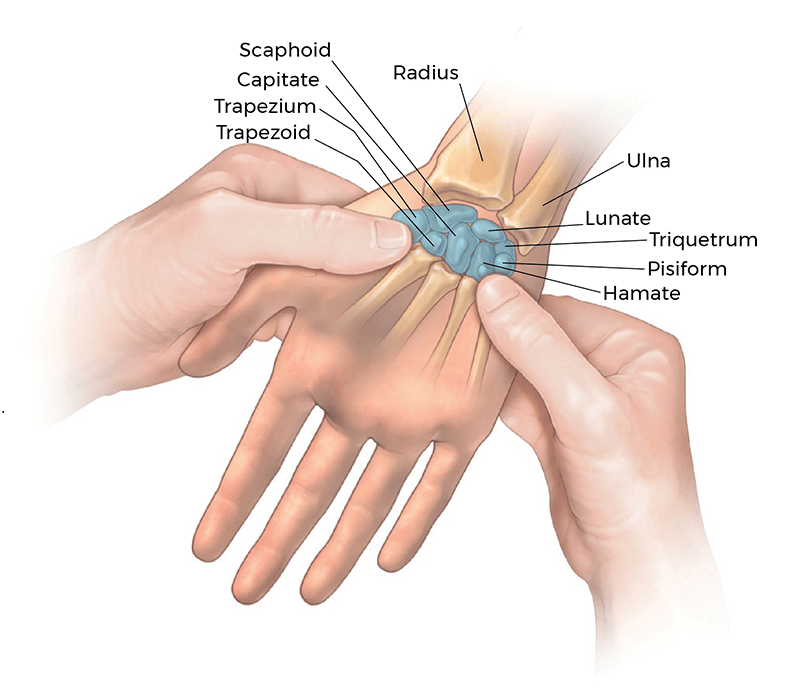 MA21_TheCarpalTunnel3 MA21_TheCarpalTunnel3