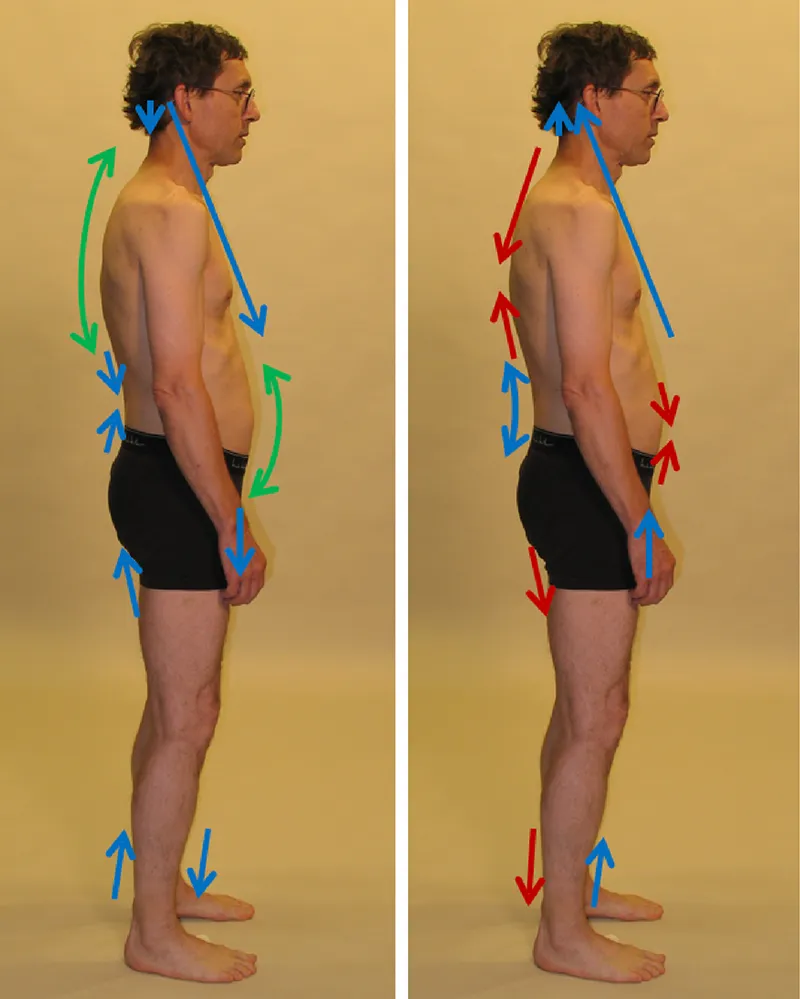 MJ_19_StructuralIntegrationA-B_800 MJ_19_StructuralIntegrationA-B_800