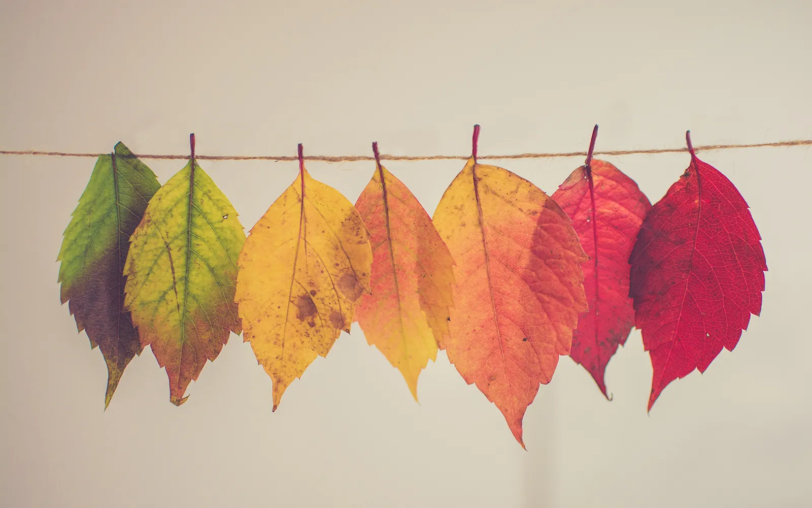 Activate Your Center Teaser Image