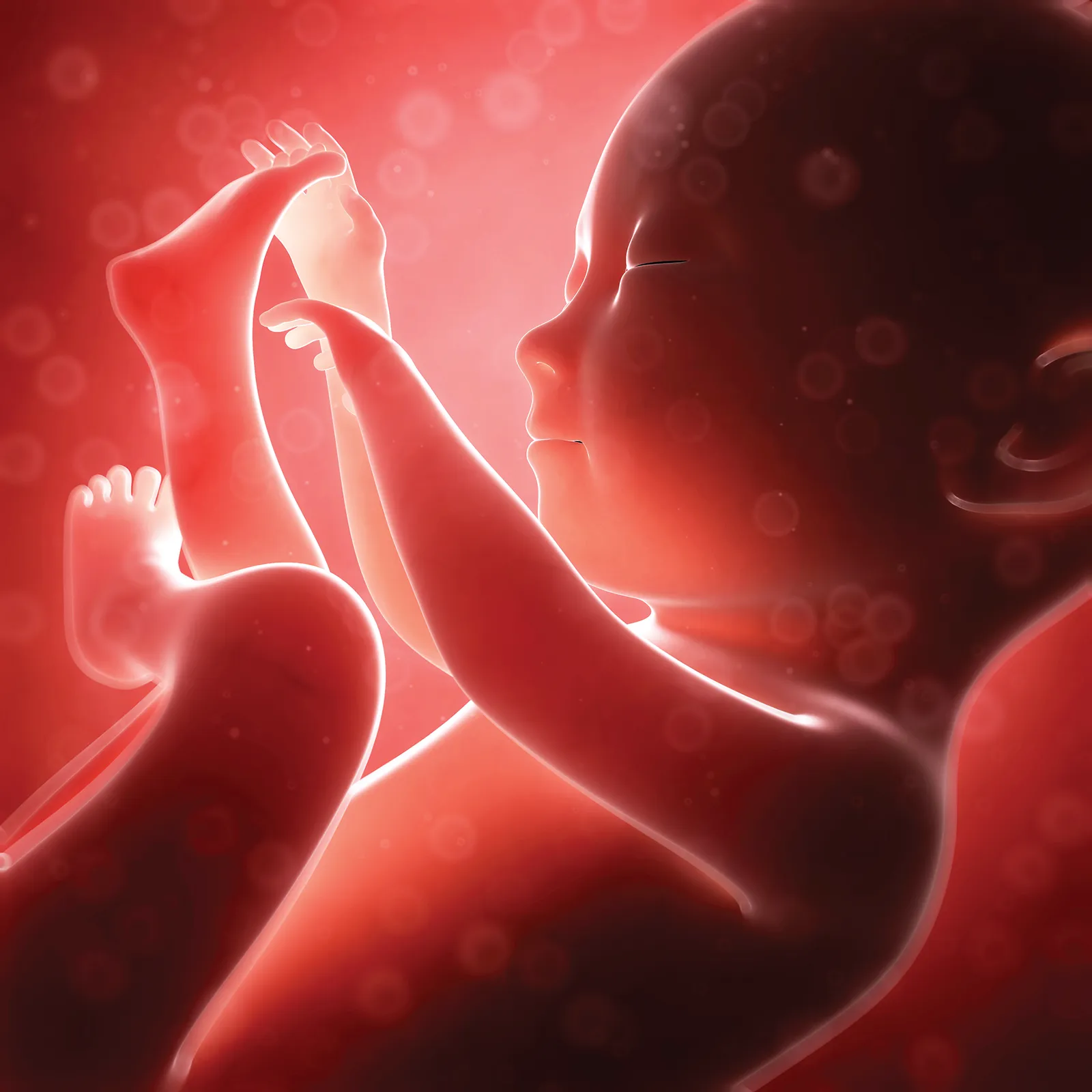 ND_15_MomToBe_Secondary1_shutterstock_1600 ND_15_MomToBe_Secondary1_shutterstock_1600