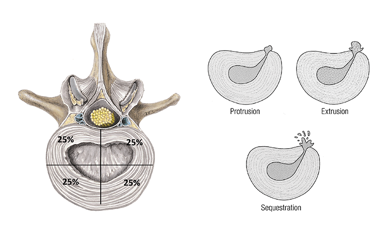 MJ_19_ClinicalExplorations5_800 MJ_19_ClinicalExplorations5_800