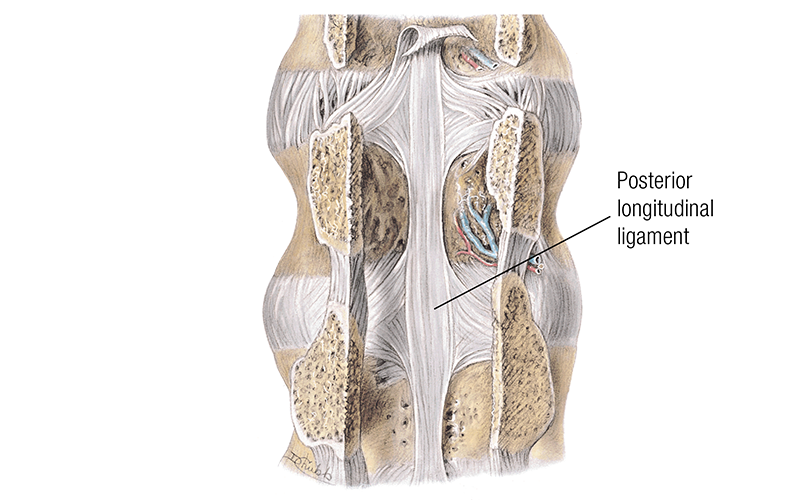 MJ_19_ClinicalExplorations4_800 MJ_19_ClinicalExplorations4_800