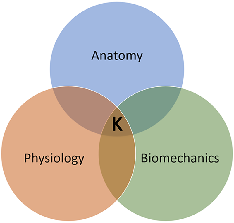MJ20_Clinical Explorations2 MJ20_Clinical Explorations2