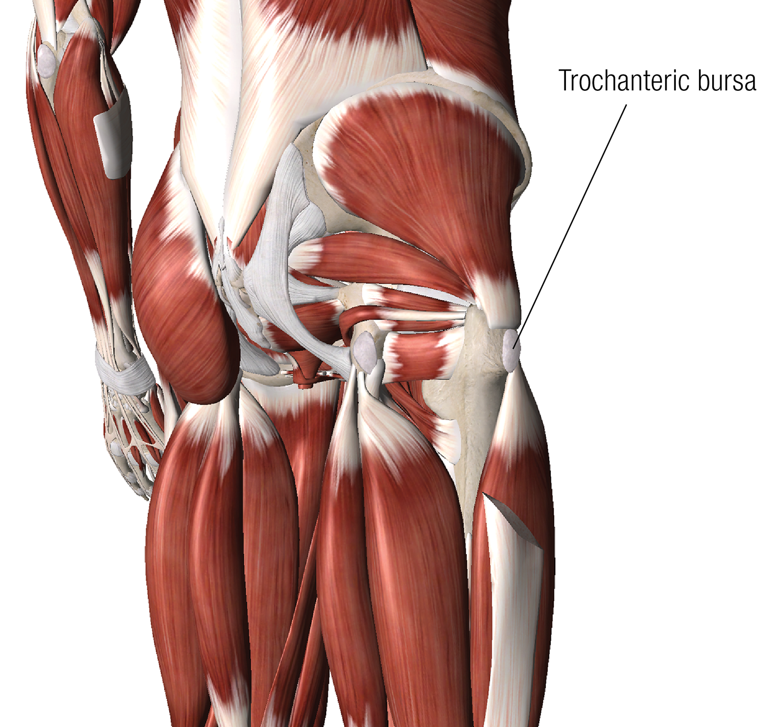 JA_15_ClinicalApps3_1600 JA_15_ClinicalApps3_1600