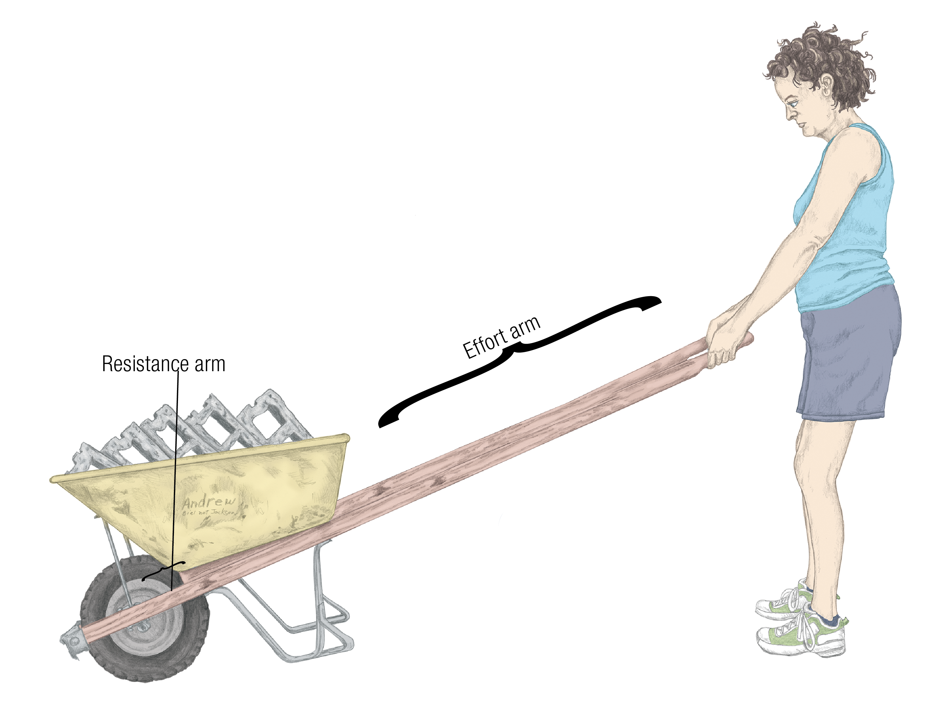 JF_15_Biomechanics20_LongArmBarrel_1600