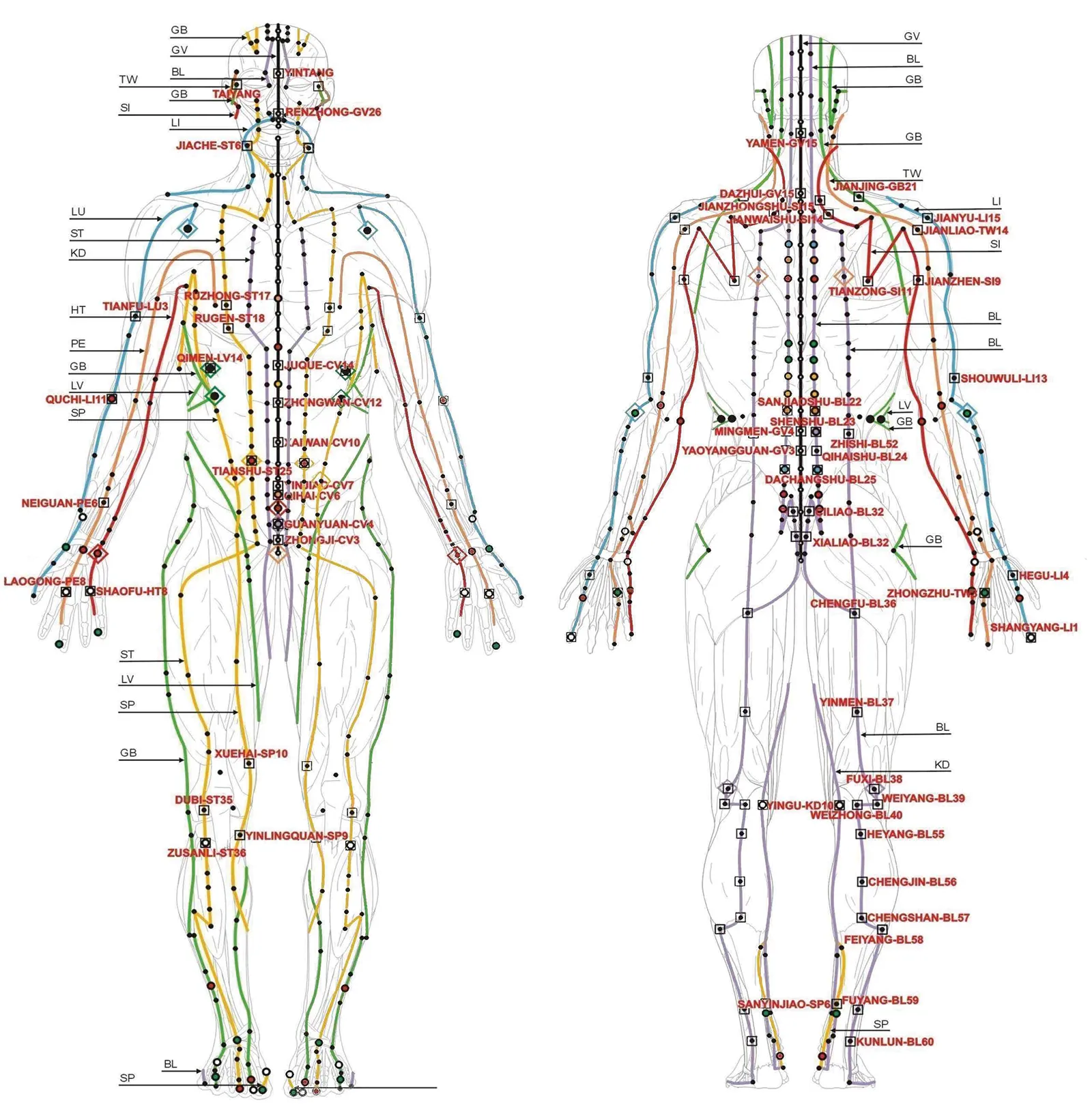 JA_16_CuppingTherapy_Secondary2_1600