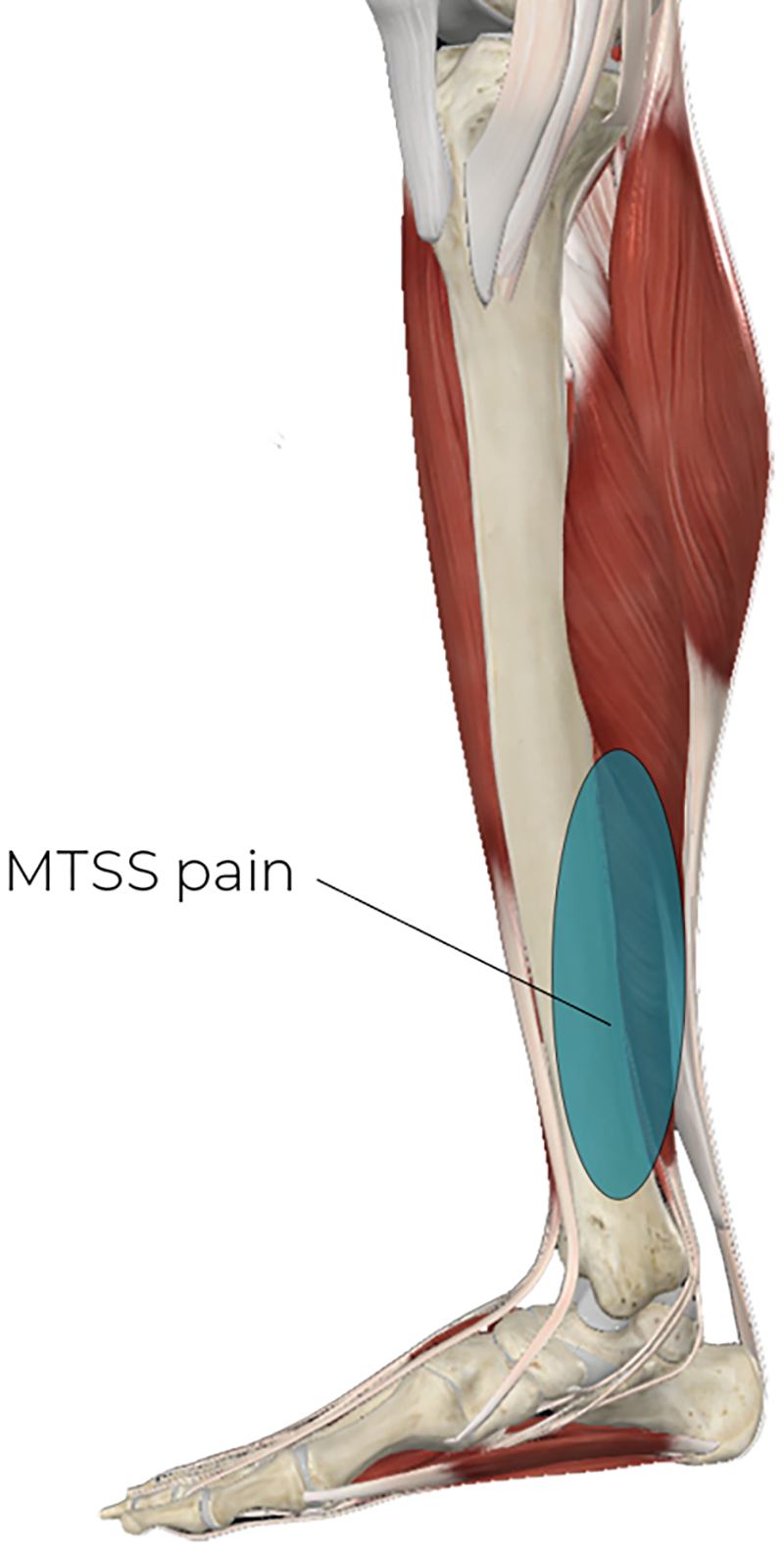 SP_26_ClinicalExplorations2_800