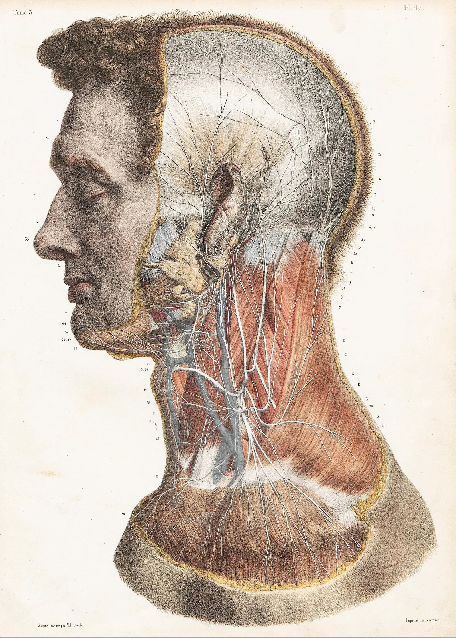 JA_16_Myofascial3_Bourgey_1600