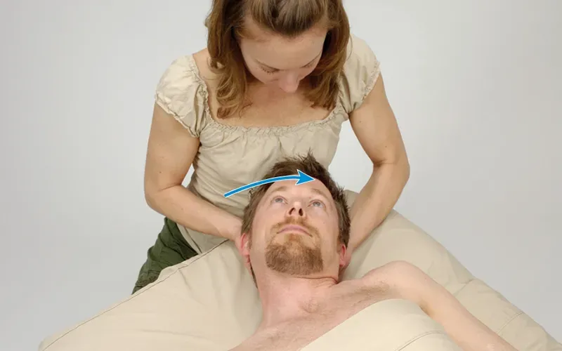 MJ20_Splenius_Passive MJ20_Splenius_Passive