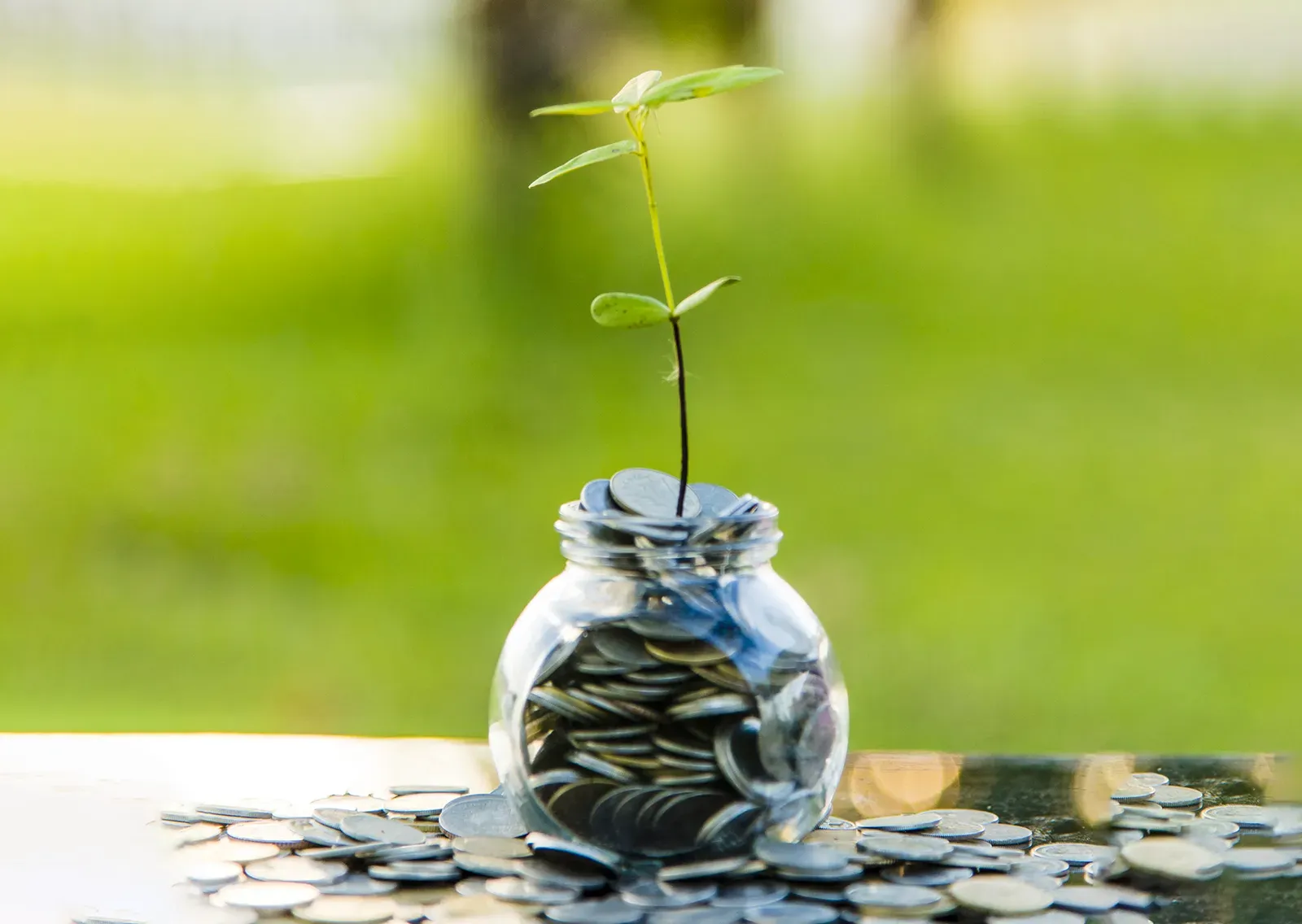 MJ20_Blueprint1 MJ20_Blueprint1