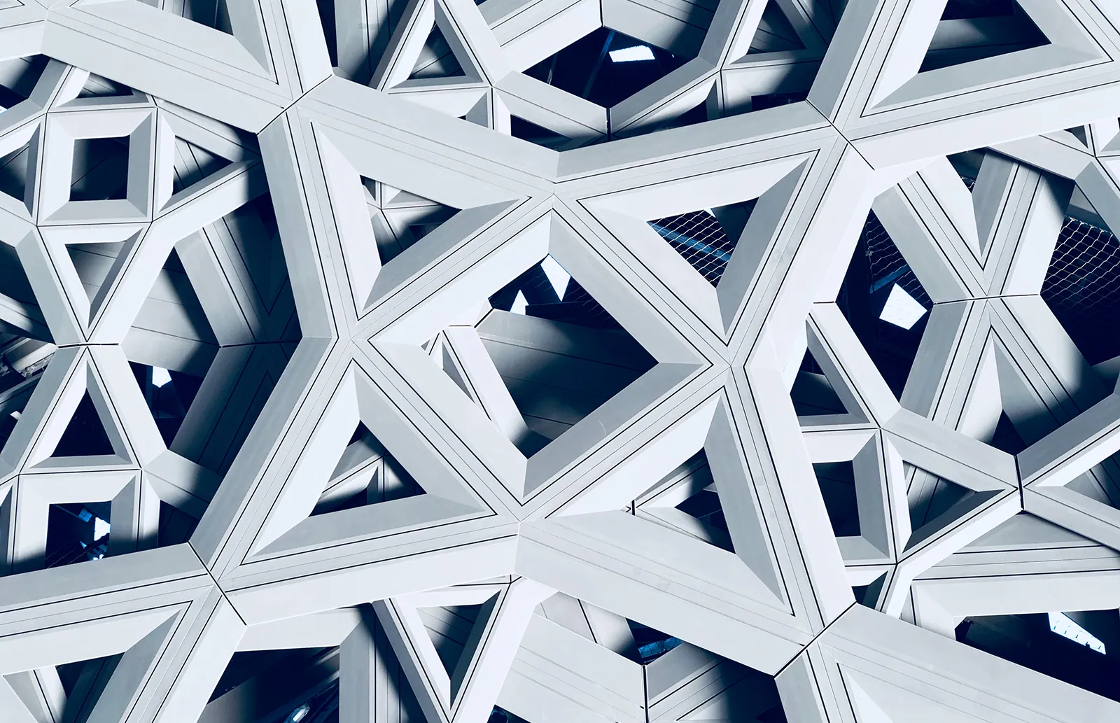 The Anthropomorphic Connection Teaser Image