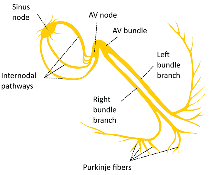 ND20_Skipping a Beat3