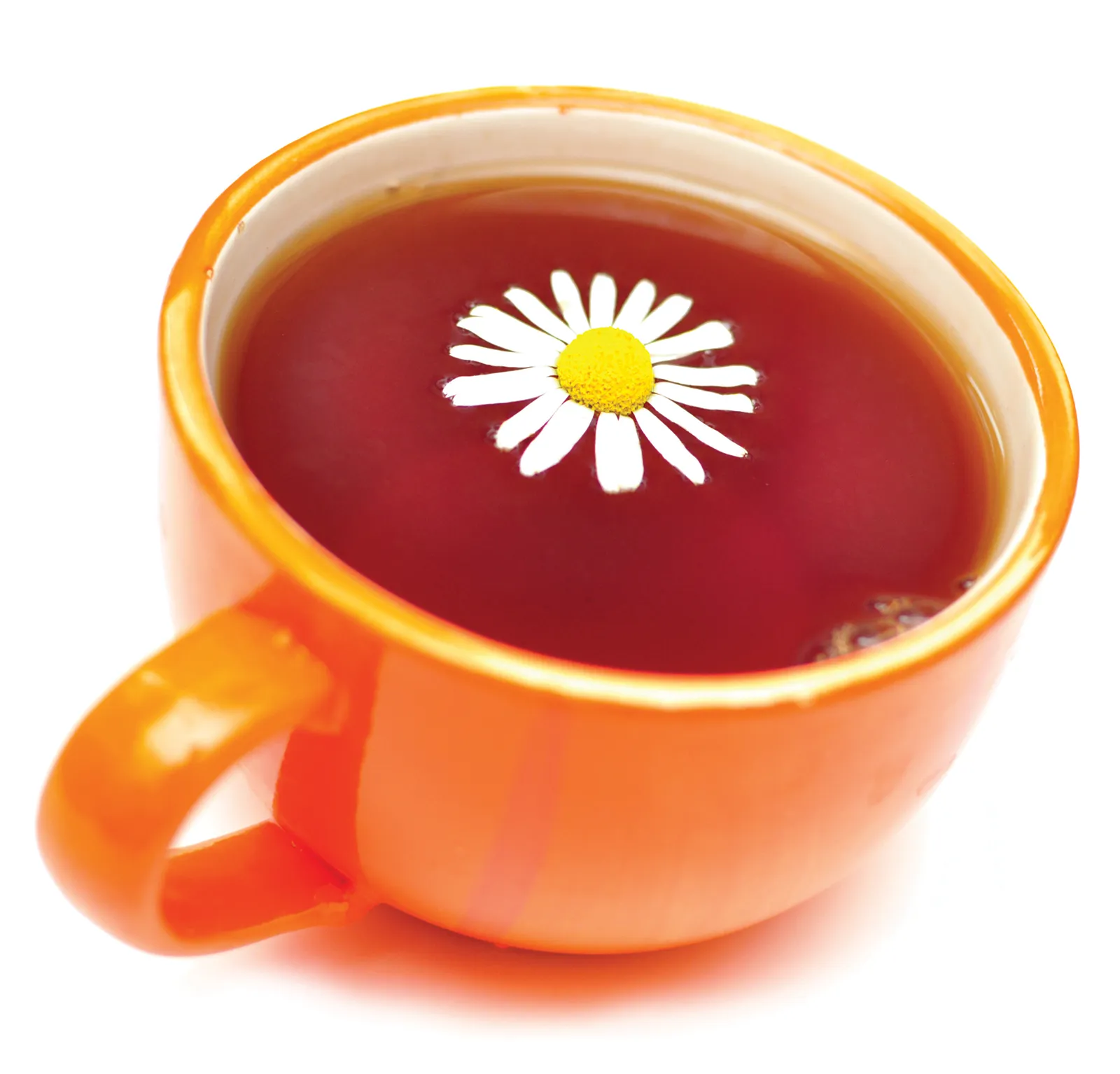 MJ_15_ClassClient_Secondary3_shutterstock_1600 MJ_15_ClassClient_Secondary3_shutterstock_1600