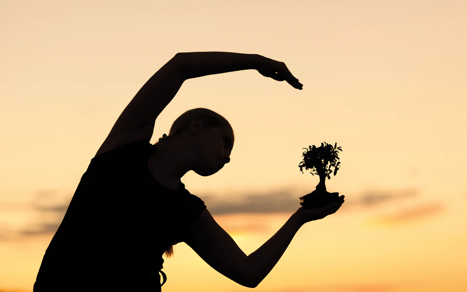 JA_16_Nurturing_Secondary2_iStock_1600
