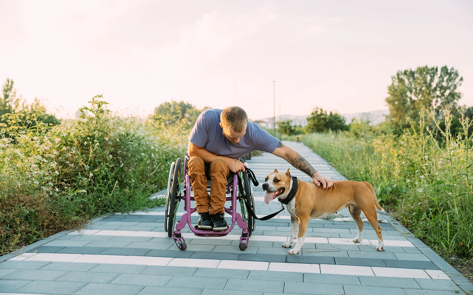 MA20_Clients with Service Animals MA20_Clients with Service Animals