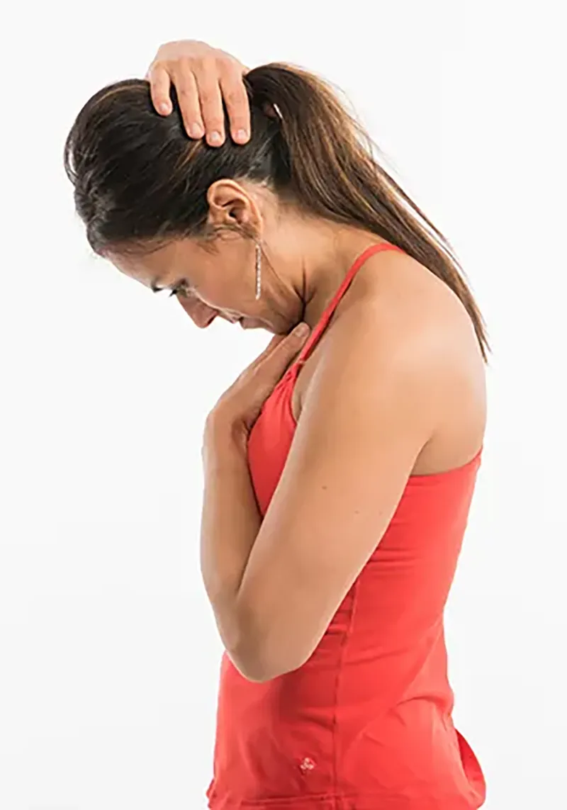 TLC for MTs: The Neck Flexion2 TLC for MTs: The Neck Flexion2