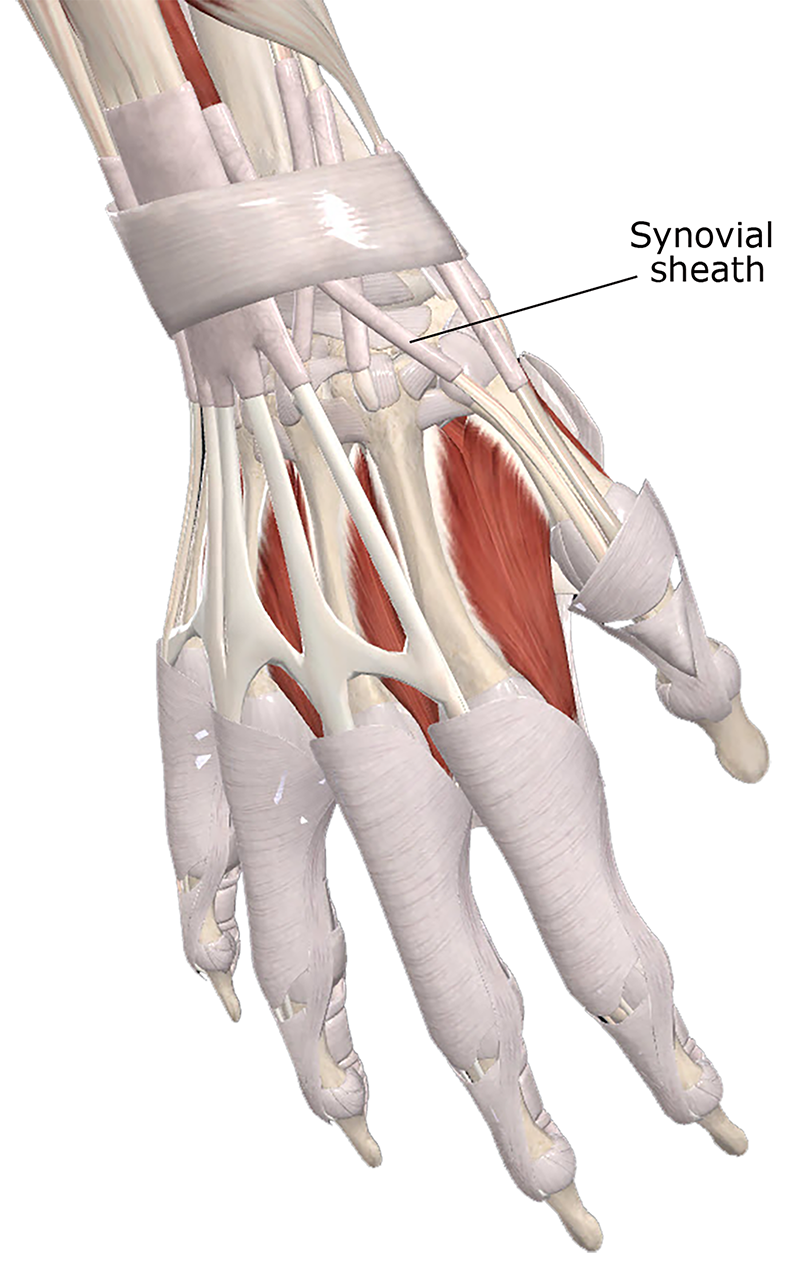 ClinicalExplorations1 ClinicalExplorations1