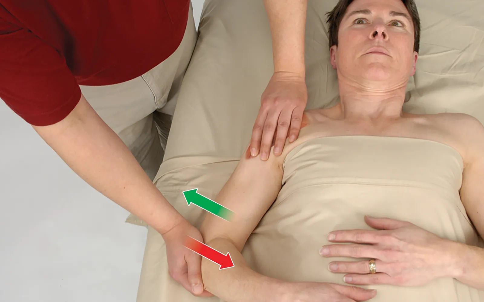 JF16_FunctionalAnatomy2