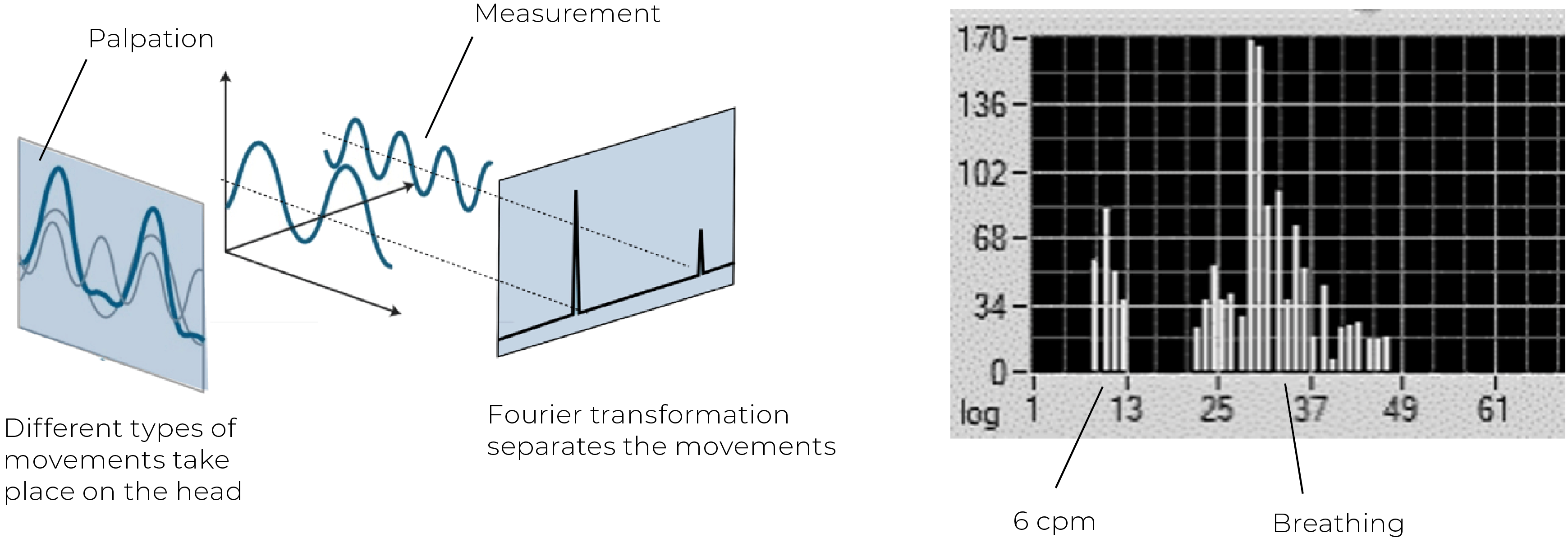Two graphs showing specific rhythms.