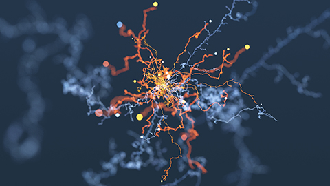 3D animated image of abstract curly tendrils.