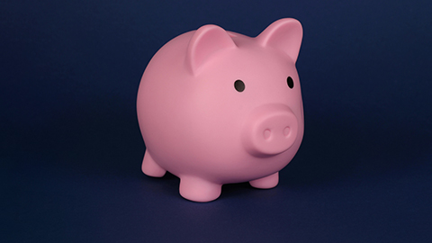 Image of a piggy bank.
