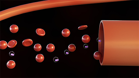 3D animated image of blood cells.