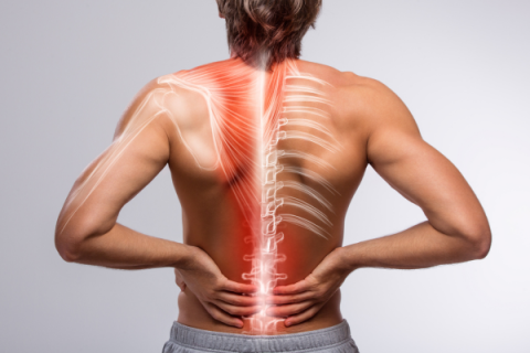A person grabs their low back in pain, while the illustration shows the back inflamed.